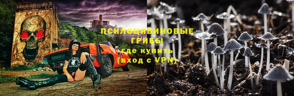 экстази Ветлуга