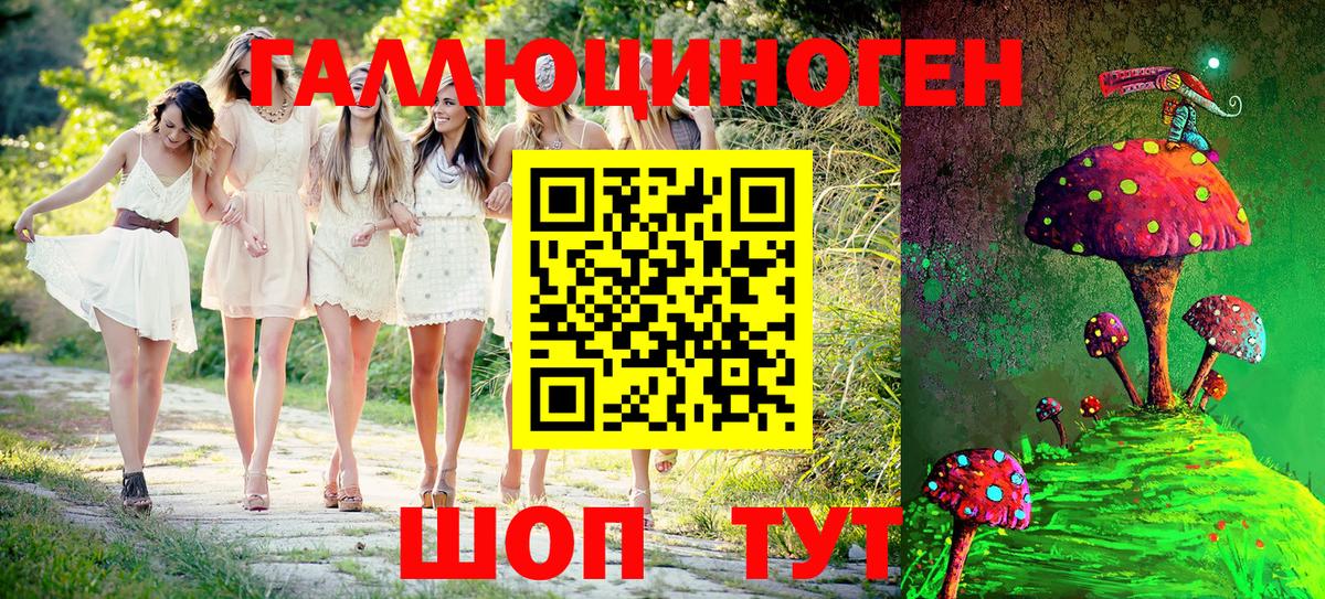 Псилоцибиновые грибы Psilocybe Канск